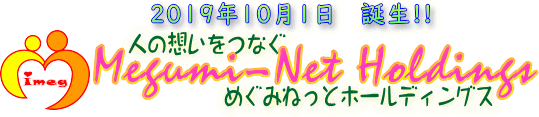 めぐみねっとホールディングス